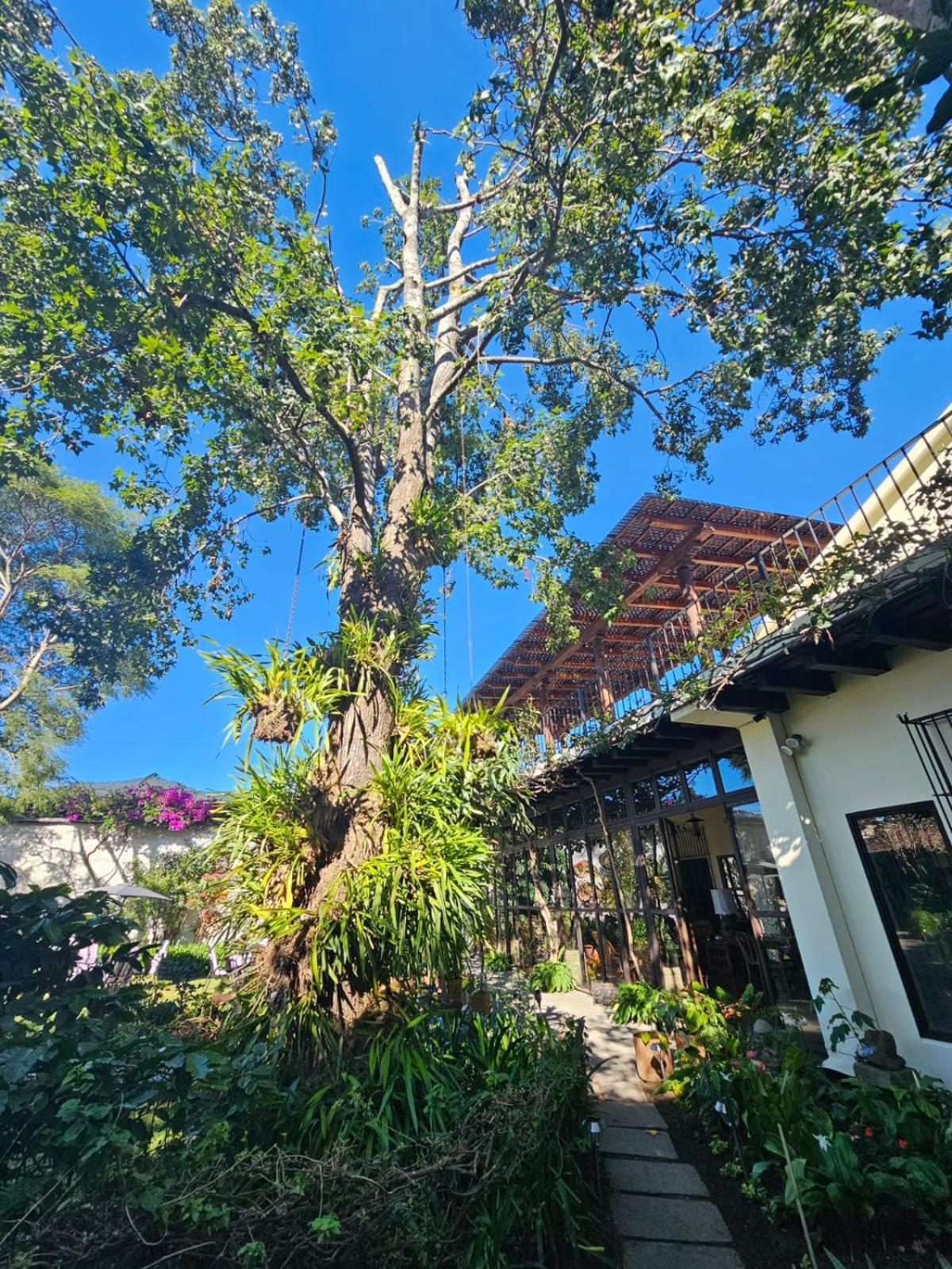 Hotel Casa Bansley Antigua Exterior photo